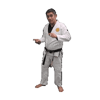 Bjj Jiujitsu Sticker by ghbrownsville