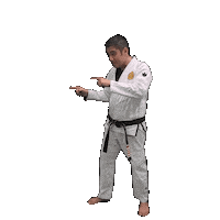 Bjj Jiujitsu Sticker by ghbrownsville