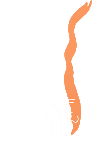 NudeWine drinkupthegoodlife blushedwhite nudewine dontcallmerose Sticker