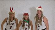 Happy College Basketball GIF by Evangel University