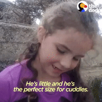 GIF by The Dodo