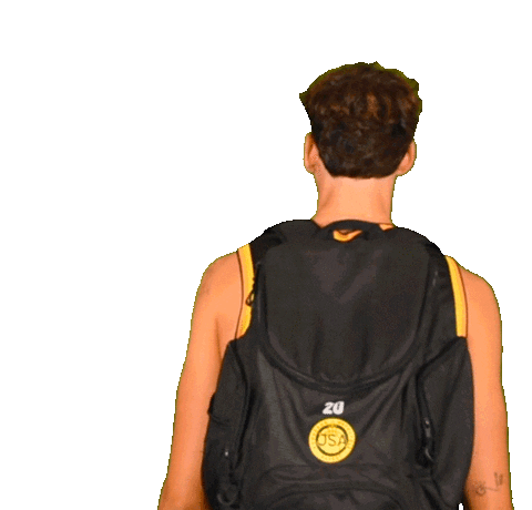 Basketball Basket Sticker by JSABMB
