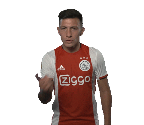 argentina vamos Sticker by AFC Ajax