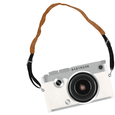 BabymoonNL giphyupload camera flash hinge Sticker