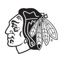 national hockey league logo Sticker by NHLBlackhawks