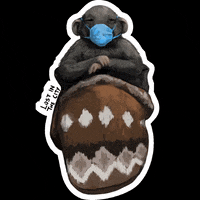 lostinthecity_ny rat bernie sanders mittens lost in the city GIF