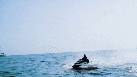 Waves Riding GIF