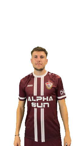 Logo Celebration Sticker by BFC Dynamo