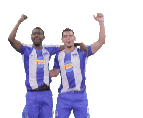 Celebration Sticker by Hertha BSC