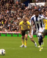 West Brom Wba GIF by West Bromwich Albion
