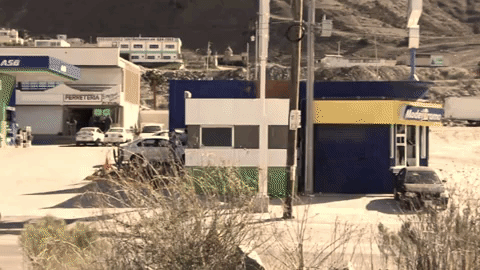plaza del bosque GIF
