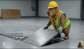 Safety Capybara GIF