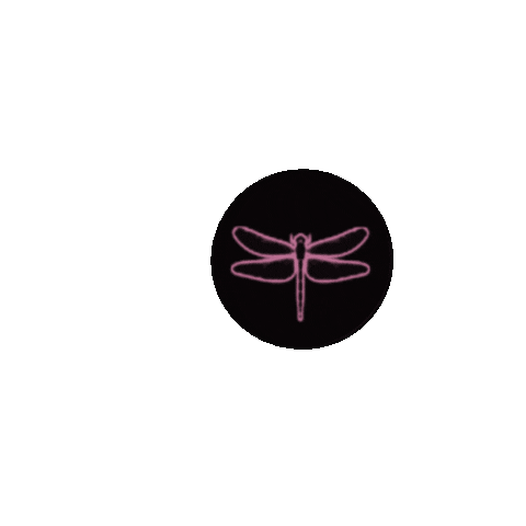 Dragonfly Sticker