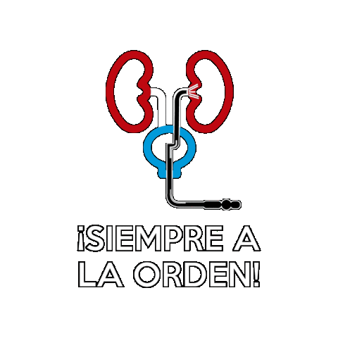 franz1 giphygifmaker siempre a la orden Sticker