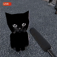 slujgiphy bro sluj slujart bro gif GIF