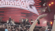 Side To Side Life GIF by Diamond Cafe