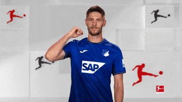 Happy Tsg Hoffenheim GIF by Bundesliga
