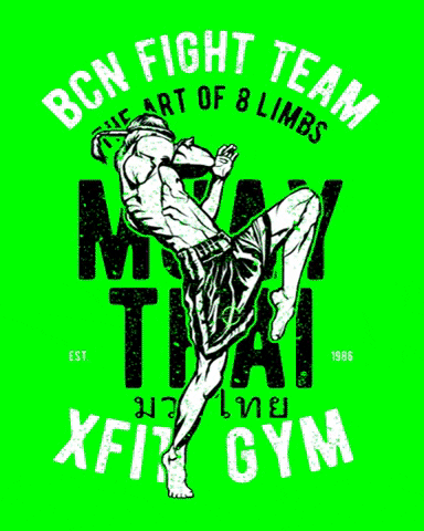Muay Thai Fight GIF by XfitGym