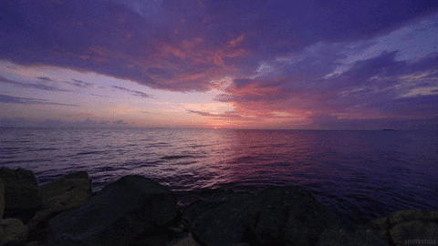 Water Sea GIF by Living Stills