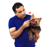 josimarmaranhaozinho vote maranhao sao luis 2222 Sticker