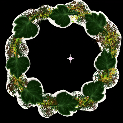 audreyrosemolina wreath audreyr GIF