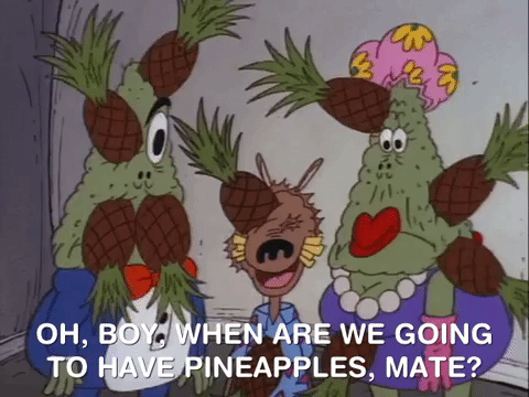 rockos modern life nicksplat GIF
