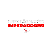 Futebol Americano Sticker by Flamengo Imperadores