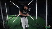 Tulane Rollwave GIF by GreenWave