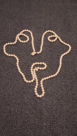 Simongip giphyupload GIF