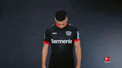 Posing Line Up GIF by Bundesliga