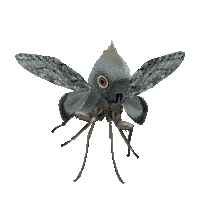 stop motion wtf Sticker by Colin Raff