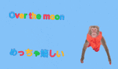 Fun Monkey GIF