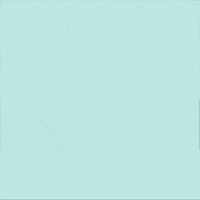happy birthday shawn mendes GIF by MTVU
