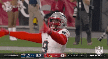 New England Patriots Football GIF by NFL