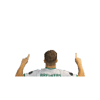 Sport Heerlen Sticker by Groene ster