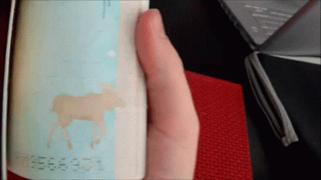 passport GIF