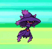 Nintendo Ds Pokemon GIF