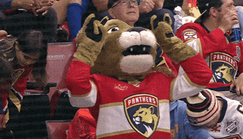 Happy National Hockey League GIF by NHL