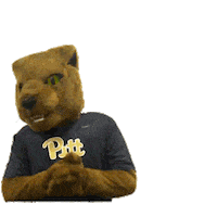 College Sports Panthers Sticker by College Colors Day