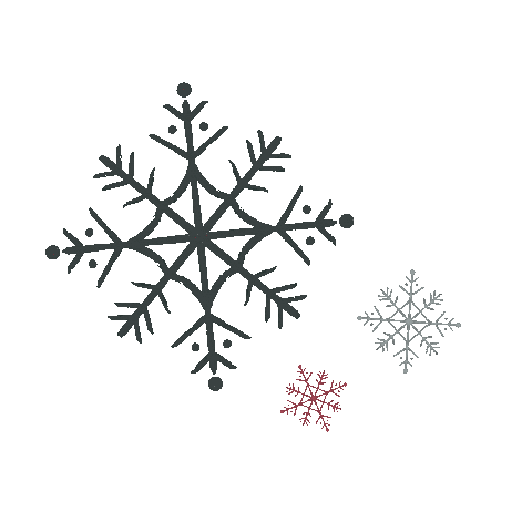 Winter Snowflakes Sticker