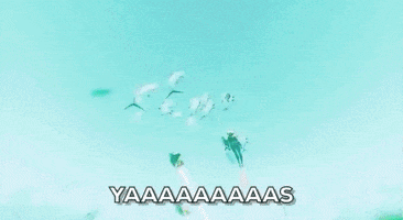 yas yes GIF by 505 Games