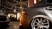 Japan Mountain GIF by Curated Stance!