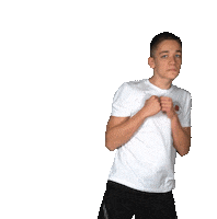 Lion Swimming Sticker by DresdenLions