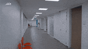 stan van samang GIF by vrt