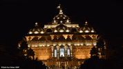 GIF by Earth Hour