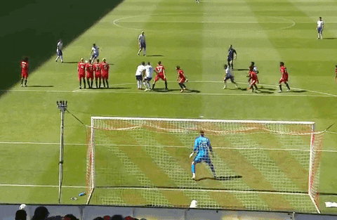 Save Toronto Fc GIF by Major League Soccer