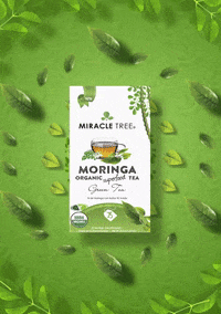 miracletreetea moringa moringa tea miracle tree miracle tree tea GIF