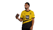 Ramy Bensebaini Football Sticker by Borussia Dortmund