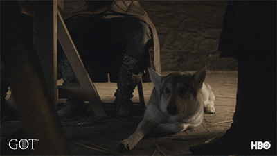 Winter Is Coming Hbo GIF by Game of Thrones