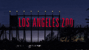 GIF by Los Angeles Zoo and Botanical Gardens